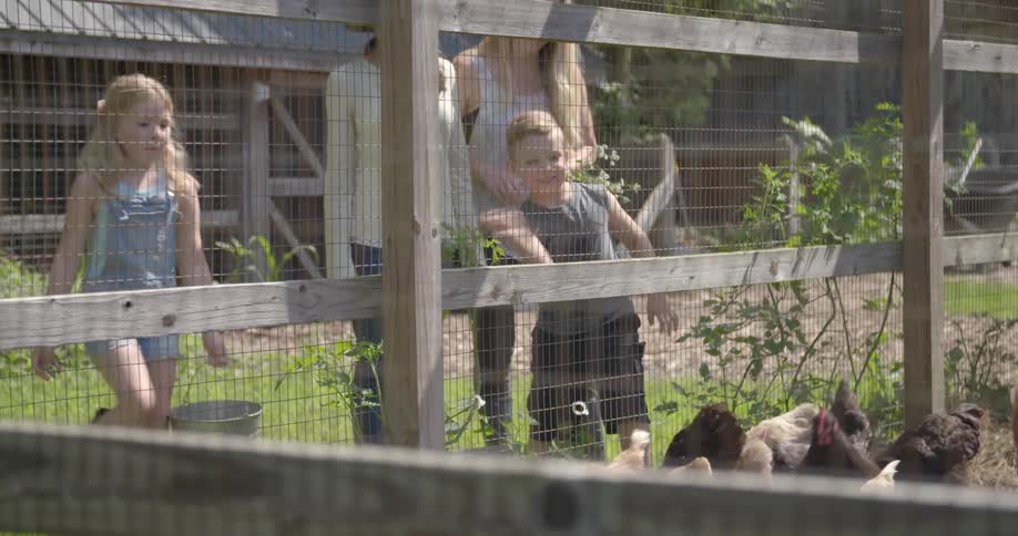 A boy and girl are throwing food into a chicken enclosure