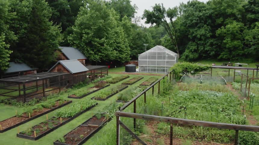 The garden is full of different plants and fences