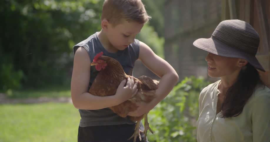 A boy is holding and petting a chicken in a yard during the day