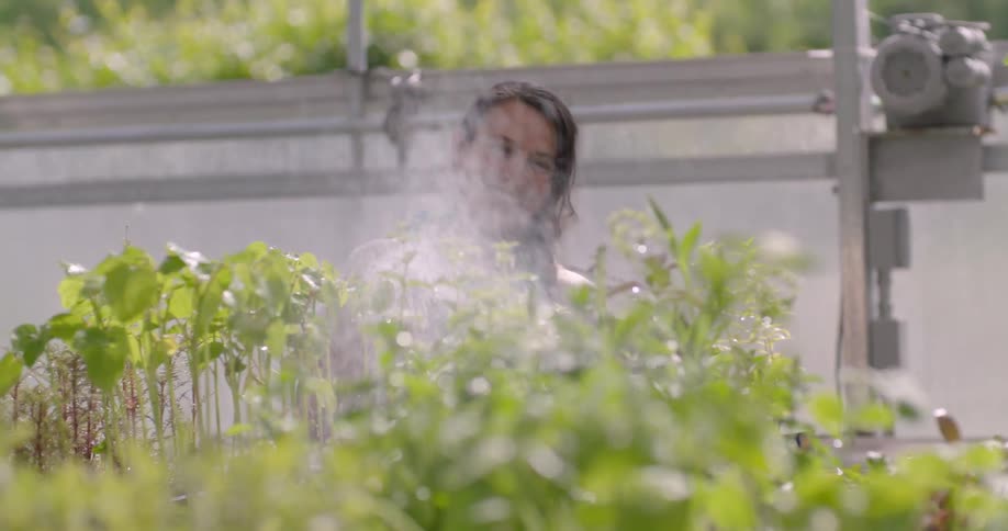 A woman is smiling as she sprays her plants with water