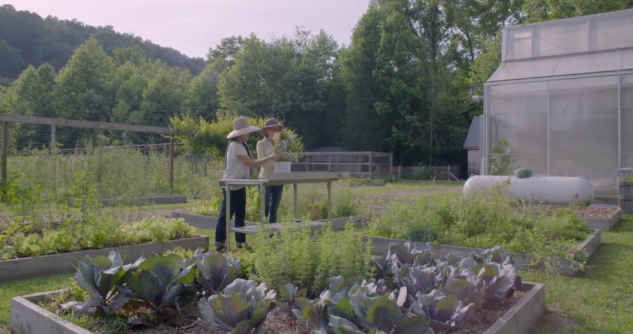 Two women are gardening during the day