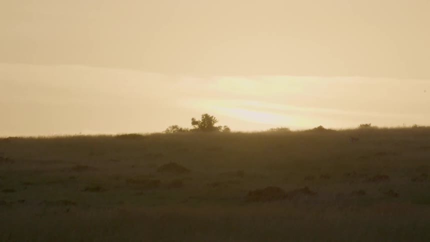 The hillside has the sun just setting behind it