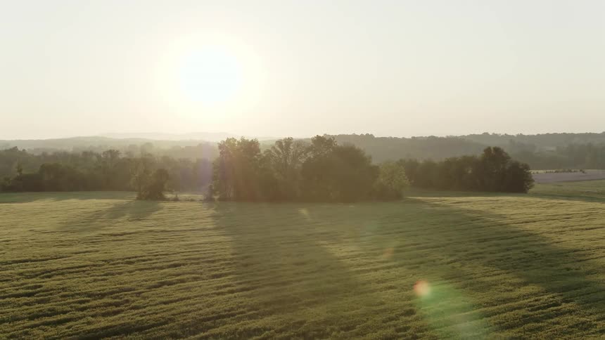 A field surrounded by trees