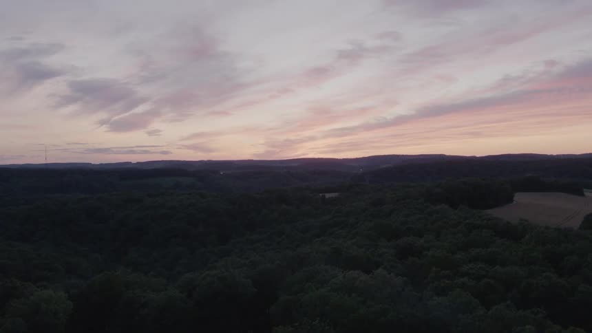 A large forest at sunset