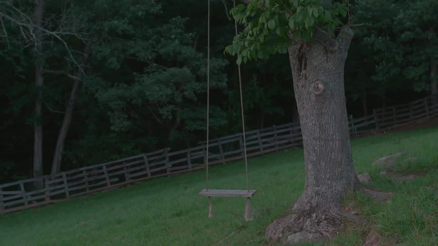 A swing hangs from the tree on this hill
