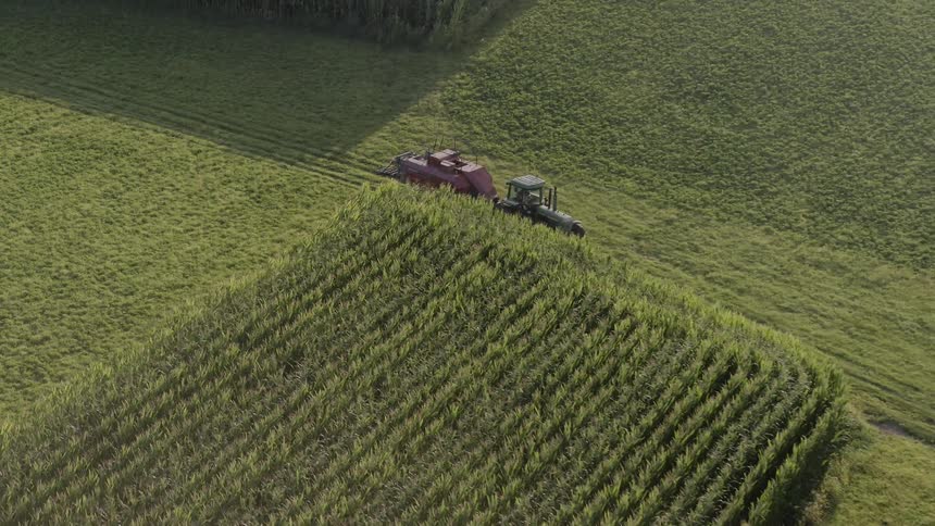 A tractor is driven on a farm