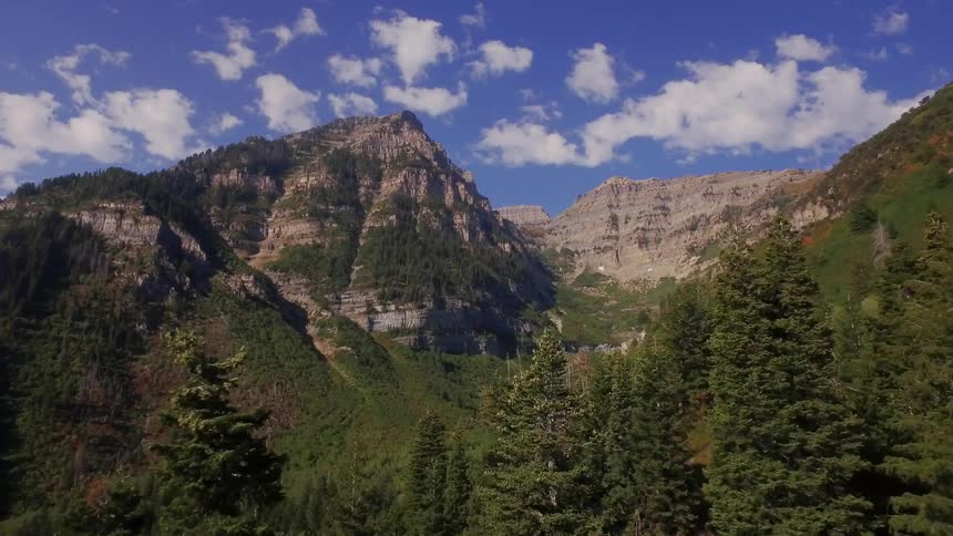 A forest leading to mountains