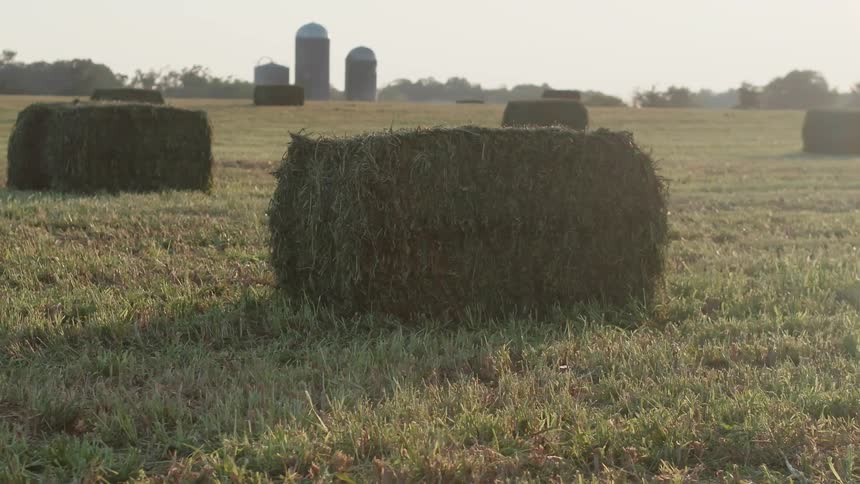 A bunch of bales of hay are in the middle of a pasture