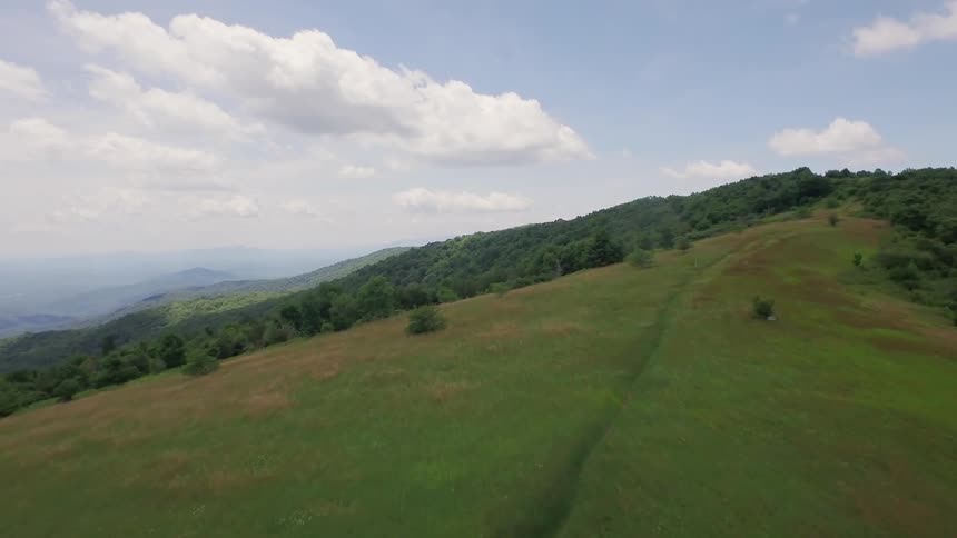 Trees cover a grassy hillside