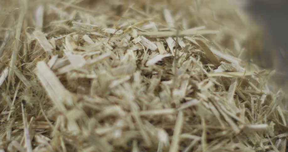 Shreds of something