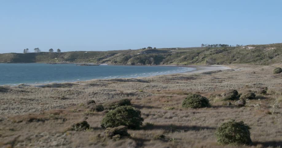 A grass covered beach is shown