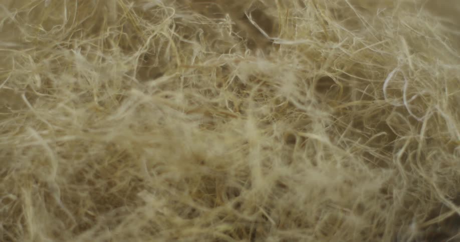 A bunch of strands laying on the floor