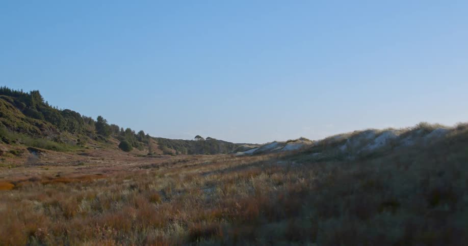 The long hilly field has trees at the top of a hill