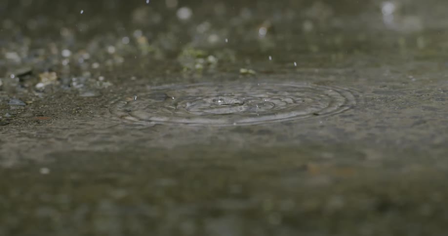 Water drops are splashing into a puddle