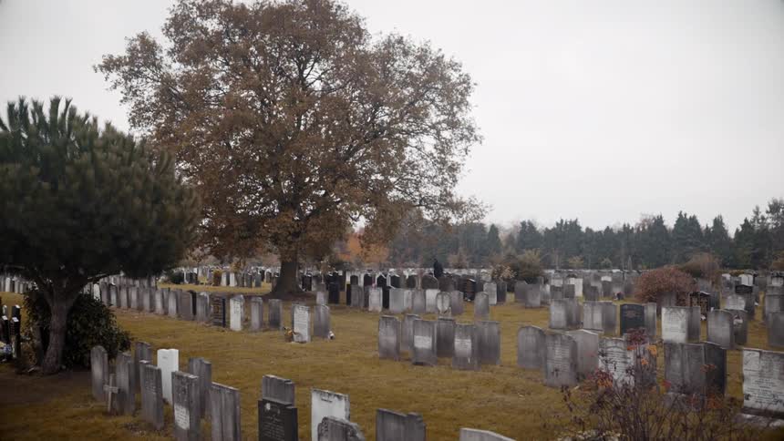 Person walking through a cemetery on a fall day
