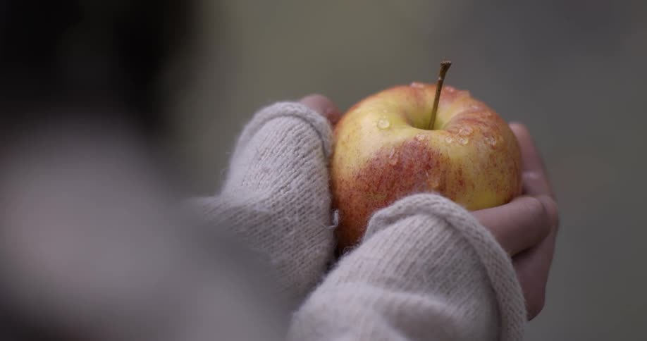Someone is holding an apple in both hands