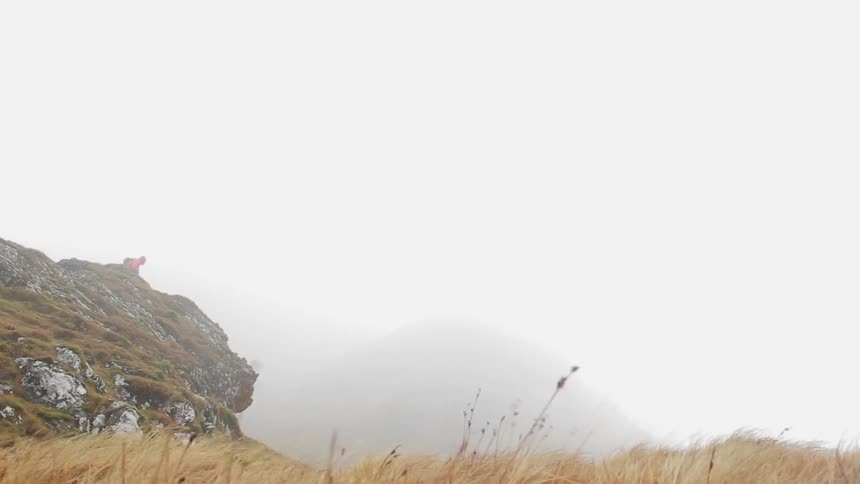 Grasslands blowing in the wind
