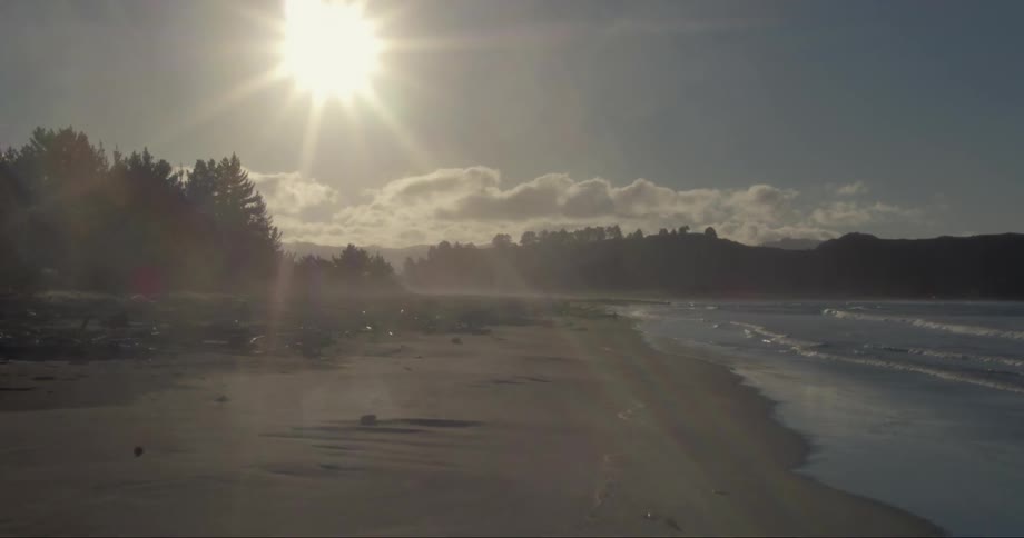 The sun shines down on a beach