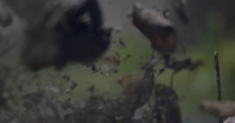 Dirt explodes into the air