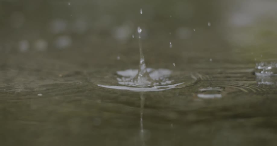 Water drops fall into shallow water creating ripples