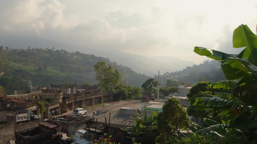 The wind blows the plants on the hill above the town