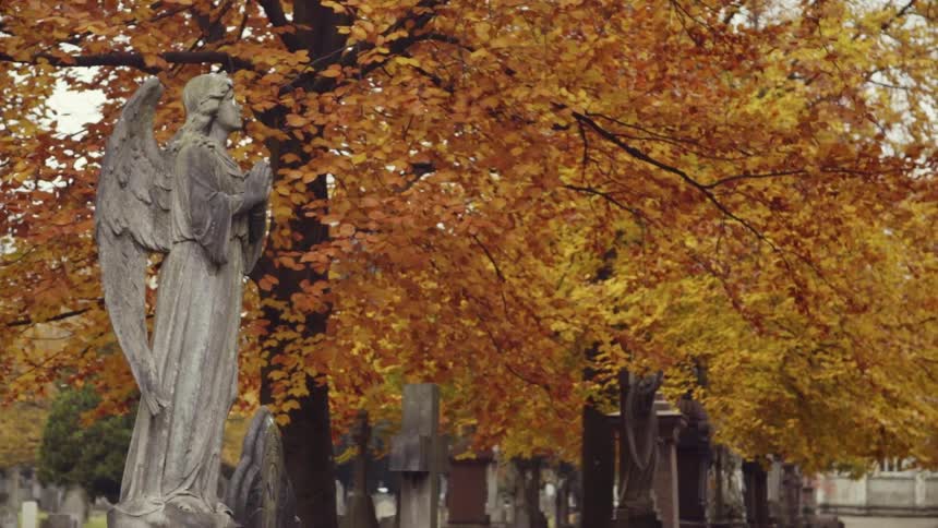 An angel statue stands in a cemetery in autumn