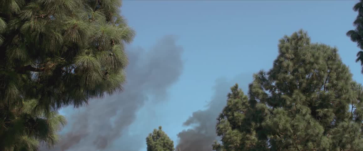 Dark smoke is rising from the forest