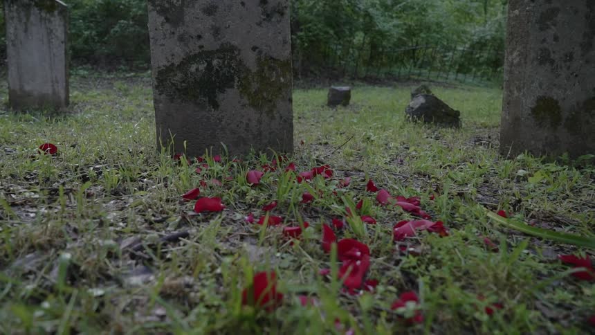Red flowers are sprinkled around a tombstone