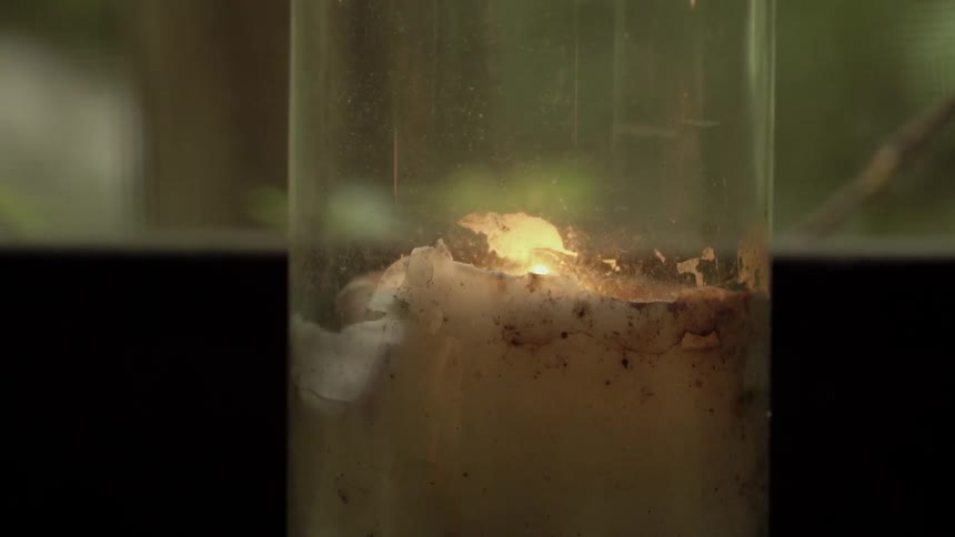 A candle flickers in a lamp in a room