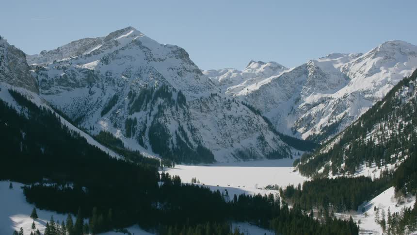 Trees in a snowy valley
