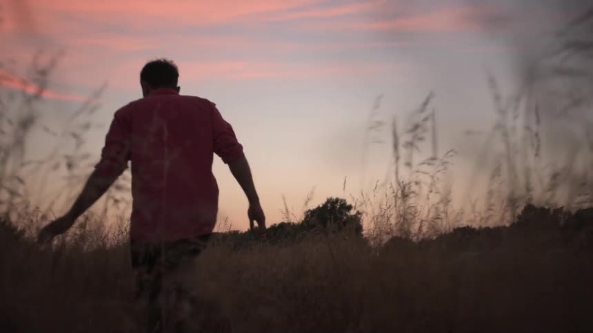 A man is walking through the field