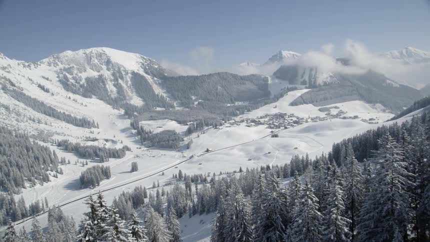 Snow blankets mountains slopes and pine trees on a sunny day