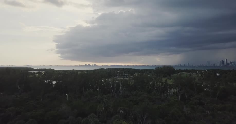 Clouds hover over a lake and trees
