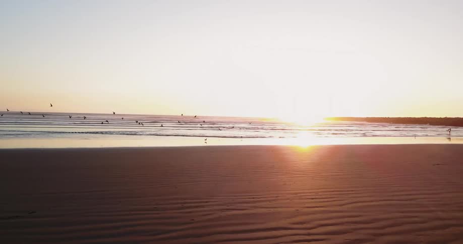 The sun is rising as the birds fly over the beach