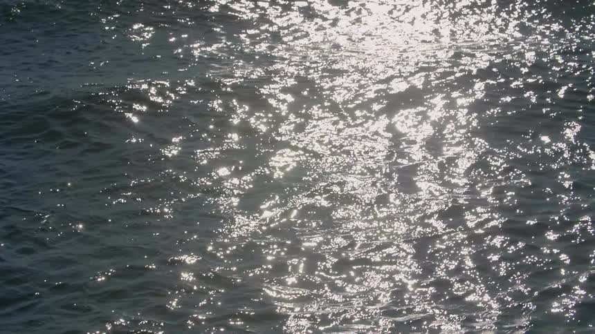 Waves are breaking in the ocean