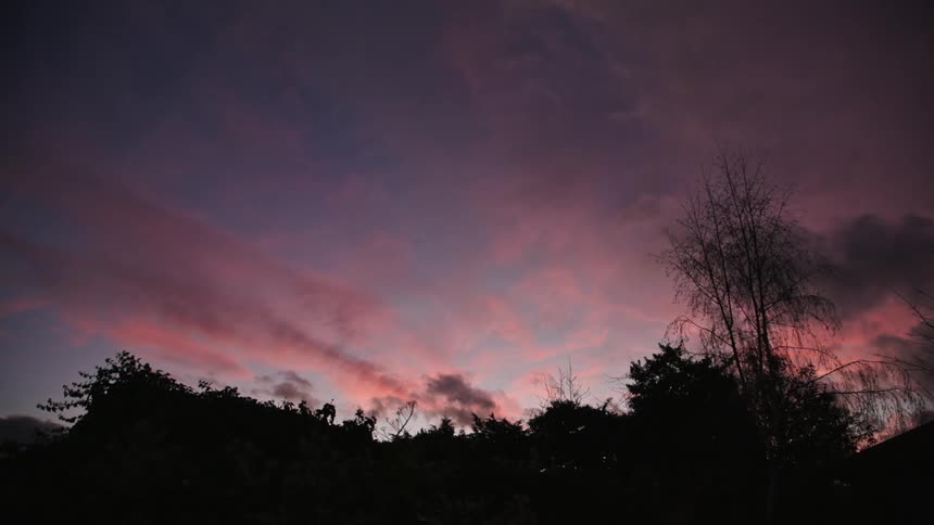 A pink sunset