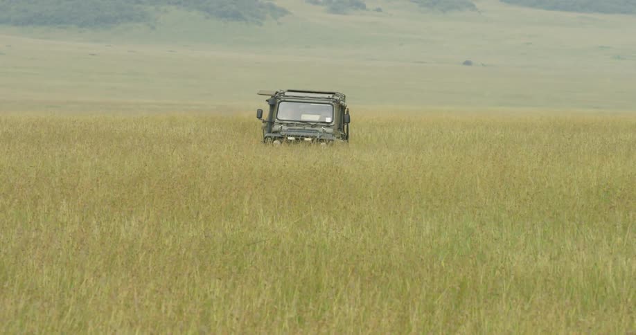 Vehicle drives through grassy field