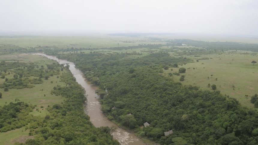 Trees sit on each side of a stream