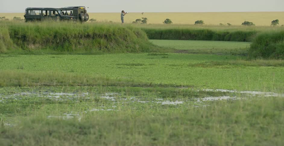 Green marshland with a jeep in the distance taking pictures