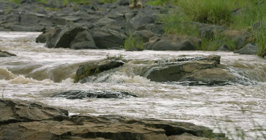 A river flows over rocks