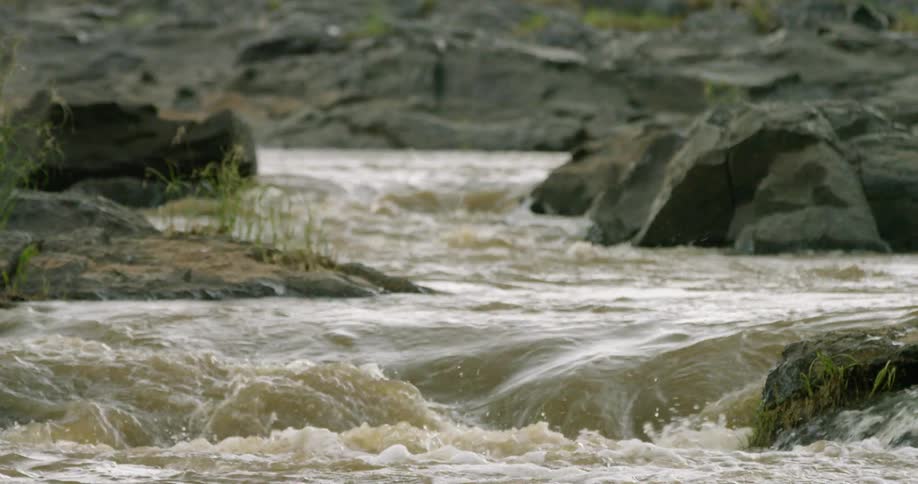 A babbling river is flowing around rocks