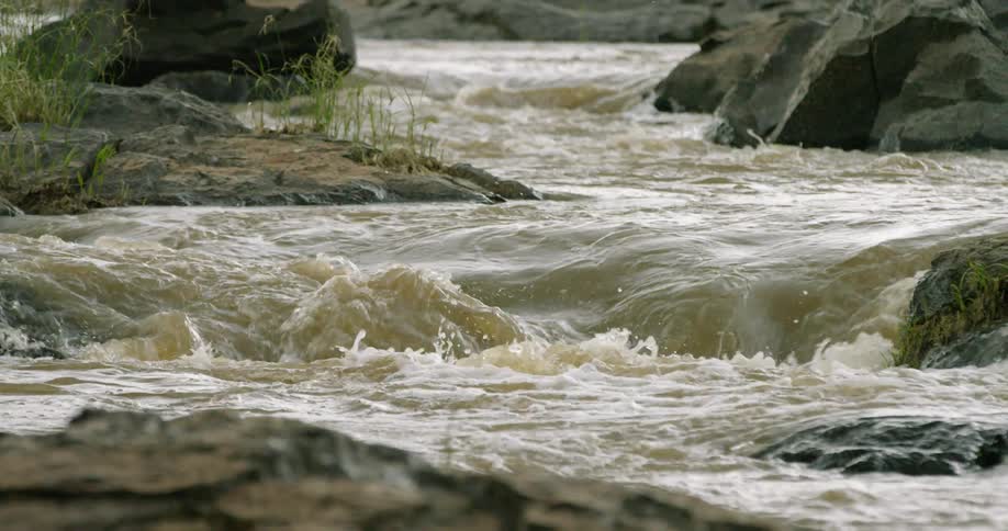 A babbling river flows around rocks