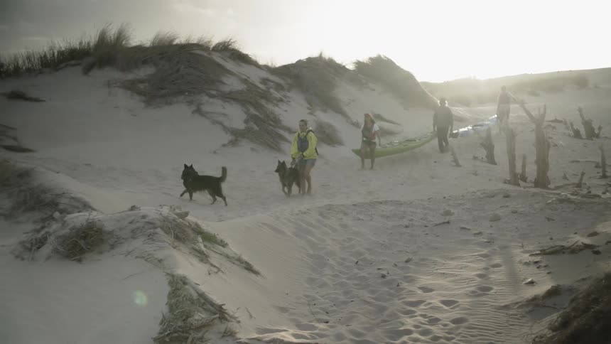 A family with their dogs carry kayaks on the beach
