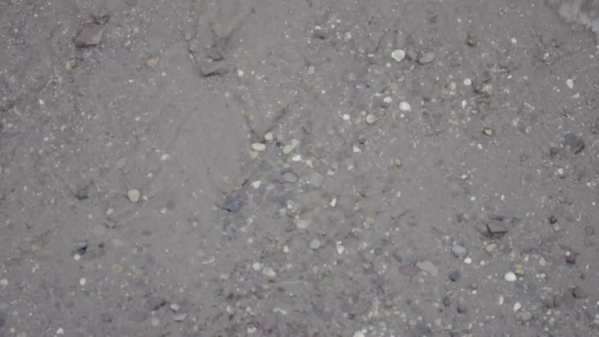 Ocean waves flow over a pebbly shore