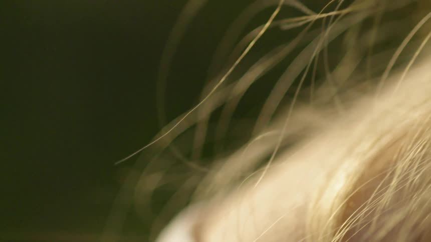 A woman's blond hair shines from sun rays