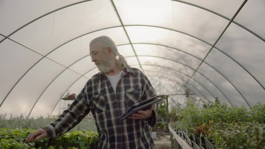 A bearded man walks through a greenhouse