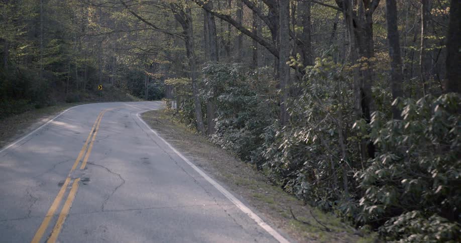 A highway extends through a forest
