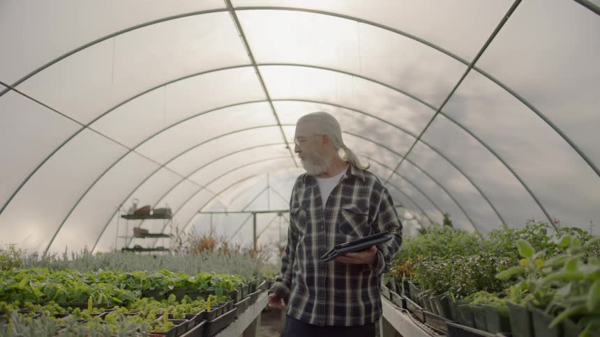 Man walks through a greenhouse