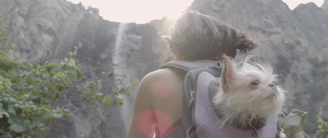 A woman carrying a dog in a backpack is looking at a waterfall on a windy day