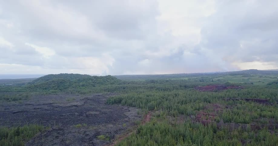 Clouds hover over a forest